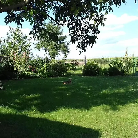 Somloi Selloe Holiday home