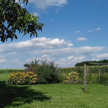 Holiday home Somloi Selloe *