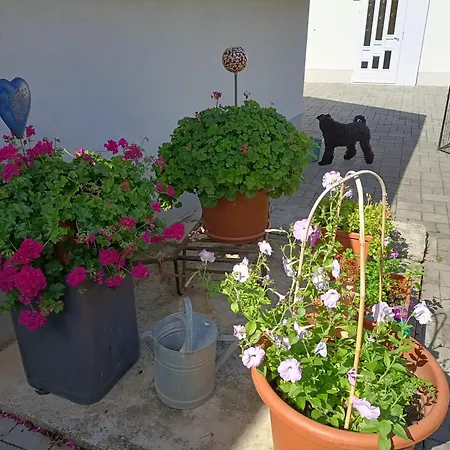 Holiday home Somloi Selloe Somloszolos