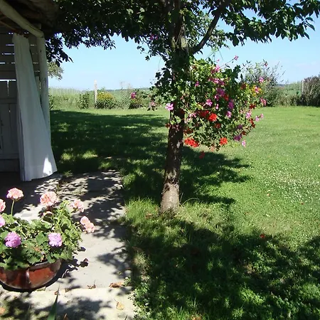 Somloi Selloe Holiday home *